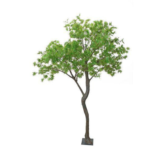 Artificial Japanese Acer Tree Green (2.7m) - Lost Land Interiors
